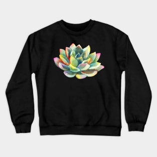 Watercolor, succulent, hand painted, cactus Crewneck Sweatshirt